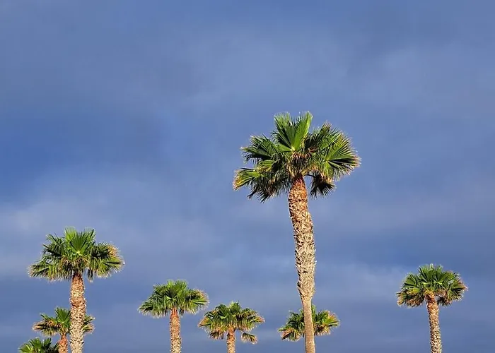 Casa Remo 아파트 *