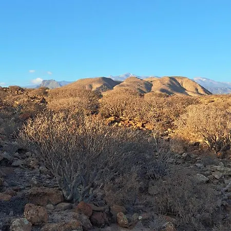 Apartamento Casa Remo Palm-mar